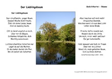 Der Lieblingsbaum-Meyer.pdf